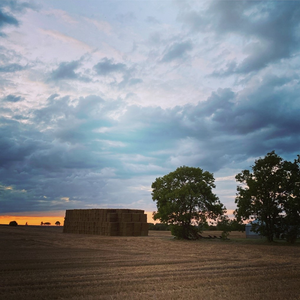 September Newsletter