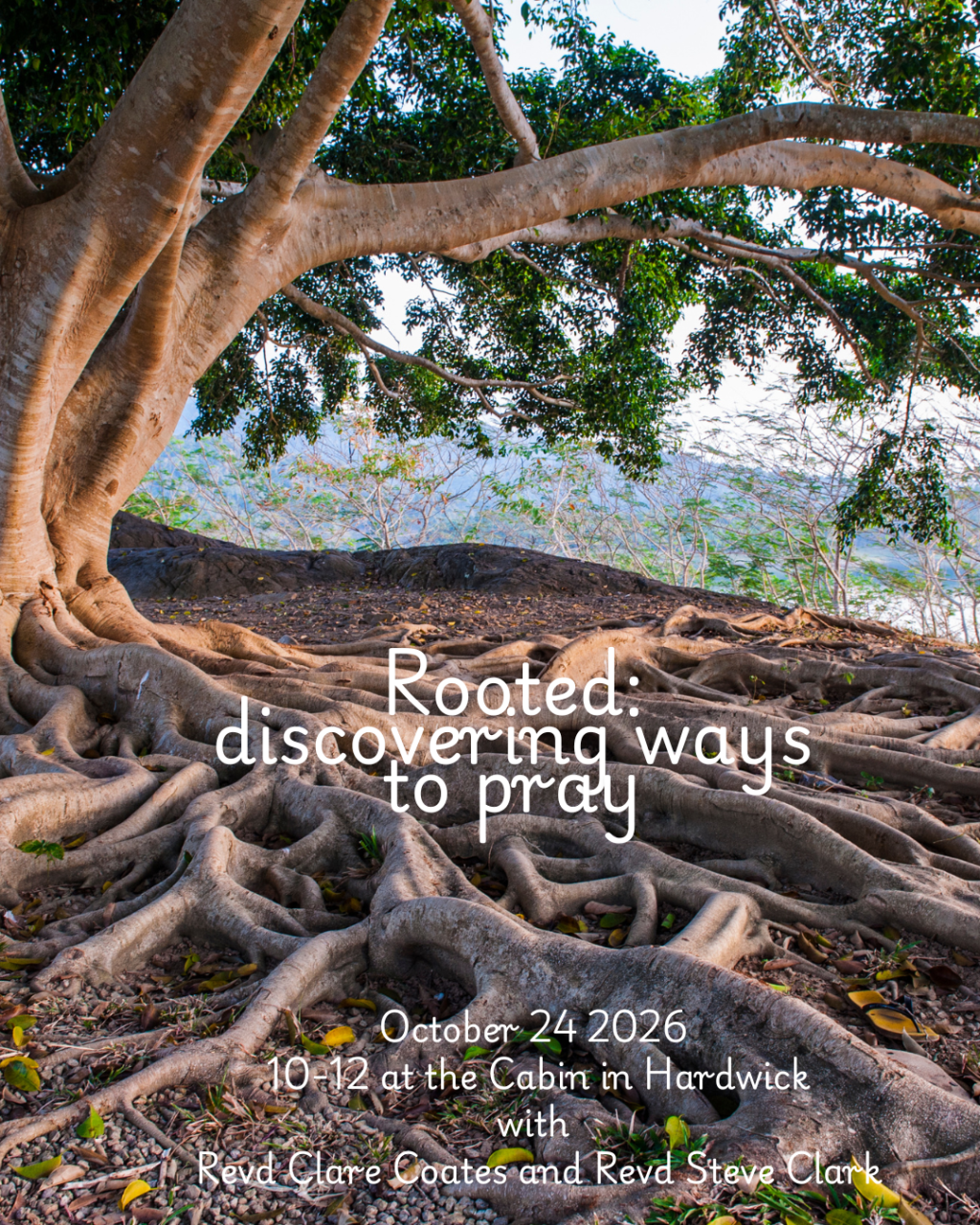 Rooted: Discovering Ways to&nbsp;Pray